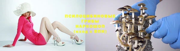 мдпв Бугульма