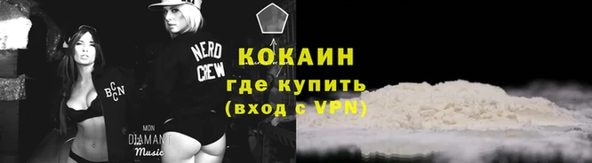 тгк Бородино