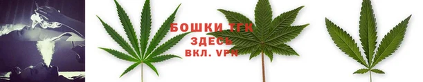 тгк Бородино