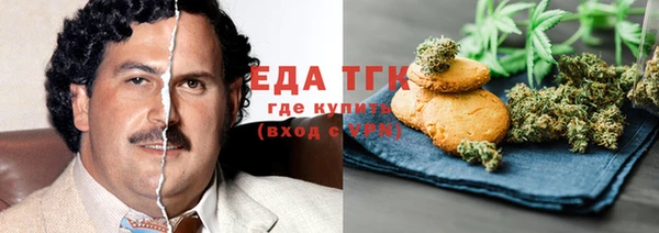 тгк Бородино