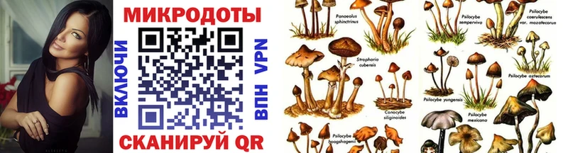 Псилоцибиновые грибы GOLDEN TEACHER  Карталы 